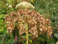 K800_DSCF4792.webp