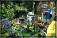 comp_DSC02211.webp