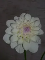 k-DSCI3045.webp