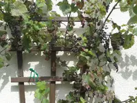 20140831_135540.jpg