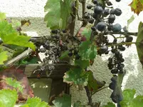 20140831_135549.webp