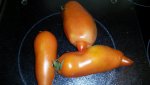 Tomate - Andenhorn 2.jpg