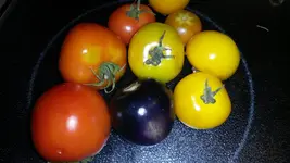 3.9 046.webp