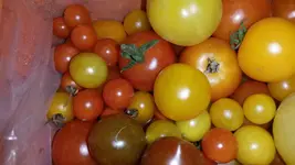 3.9 048.webp