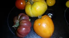 3.9 049.webp