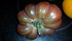 Tomate - Küßnachter 2.jpg