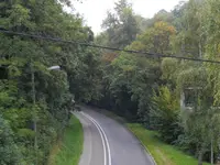 herbst_in_grau.webp