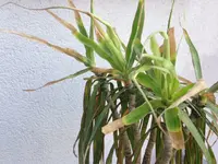 image2.webp