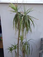 image1.webp
