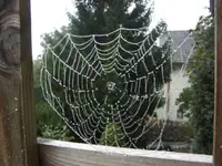 BILD3408.webp