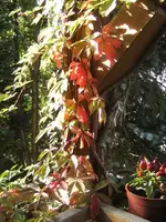 BILD3413.webp