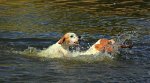 Giralada und India_Wasser_Tropfen_Spass_Apport_640.JPG