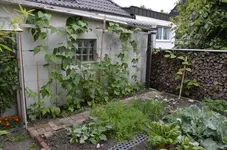 _DSC0635.webp