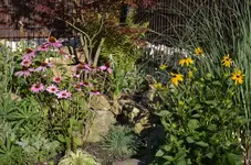 _DSC0674.webp