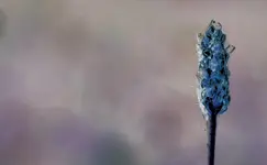 sudden_event_in_colorspace.webp