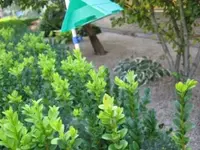 IMG_5204.webp