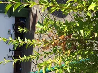 Foto 1.webp