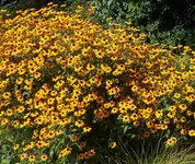 herbstwaerme.webp
