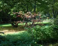sonne_im_schatten.webp