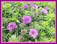 044.webp