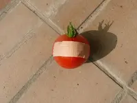 Tomate mit Rissen.JPG