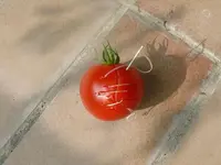 Tomate mit Rissen 1.webp