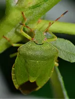 DSC_0007.webp