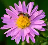 DSC_0014.webp
