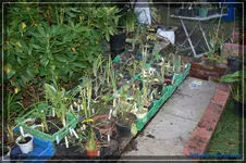 comp_DSC02214.webp