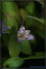 comp_DSC02217.webp