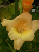 k-DSCI3047.webp