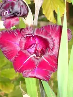 k-DSCI3048.webp