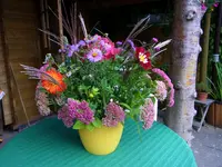 003 (2).webp