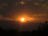 003.webp