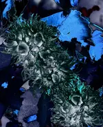 matrongar_p.webp