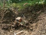 Pflaumenbaum ausgraben 4.JPG