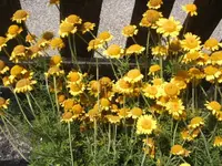 BILD3239.webp