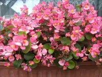 BILD3349.webp