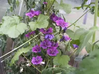 BILD3380.webp