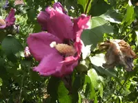 BILD3390.webp