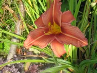 003_1024x768.webp