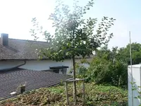 k-P1080259.webp