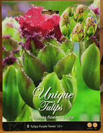 neue Tulpensorte_Artischocken_Tulpe_500.webp