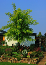 Hangbeet rechts_06092014_600.webp
