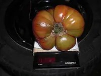 CIMG0017.webp