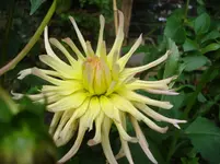 DSC03729.webp