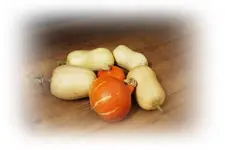 Hokaido und Butternut.webp