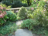SAM_5362.webp