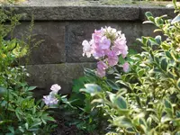 SAM_5359.webp