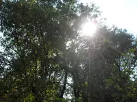 SAM_5352.webp
